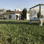 Amarna Conil