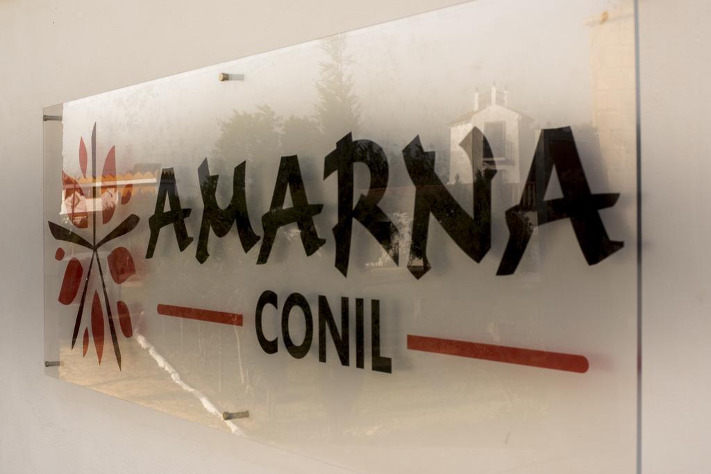 Amarna Conil